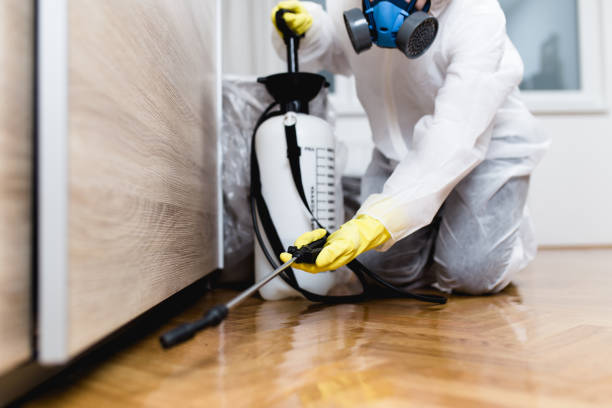 Best Bed Bug Extermination  in Santee, CA