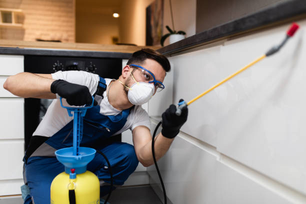 Best Termite Control Services  in Santee, CA