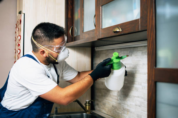 Best Local Pest Control Services  in Santee, CA