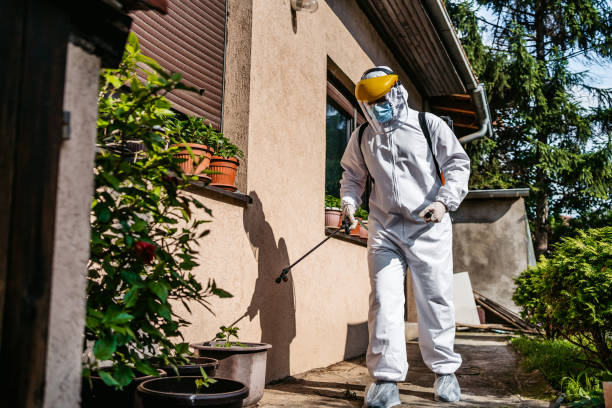 Best Wasp Removal Services  in Santee, CA