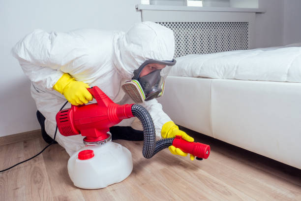 Best Pest Inspection Near Me  in Santee, CA
