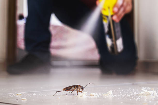 Best Commercial Pest Control Services  in Santee, CA